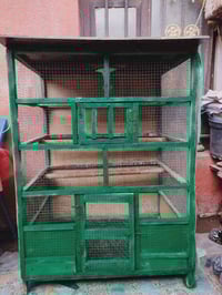 قفص • سقف وأرضية بلاويد • بغداد السويب