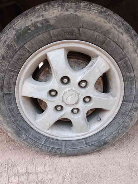 السلام عليكم
دشبول بريجو كامل ضفيره وعينه ومسجل البلاد مال تفصيخ 
ويلات 15 كل زوج شكل مثل ما موضح في الصورة 
المكان البصرة أبو الخصيب محيله 
***********
