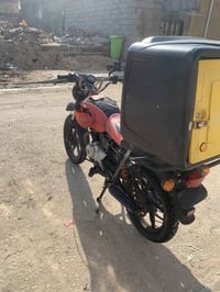 بصره • بوكسر فحل • موديل ٢٠