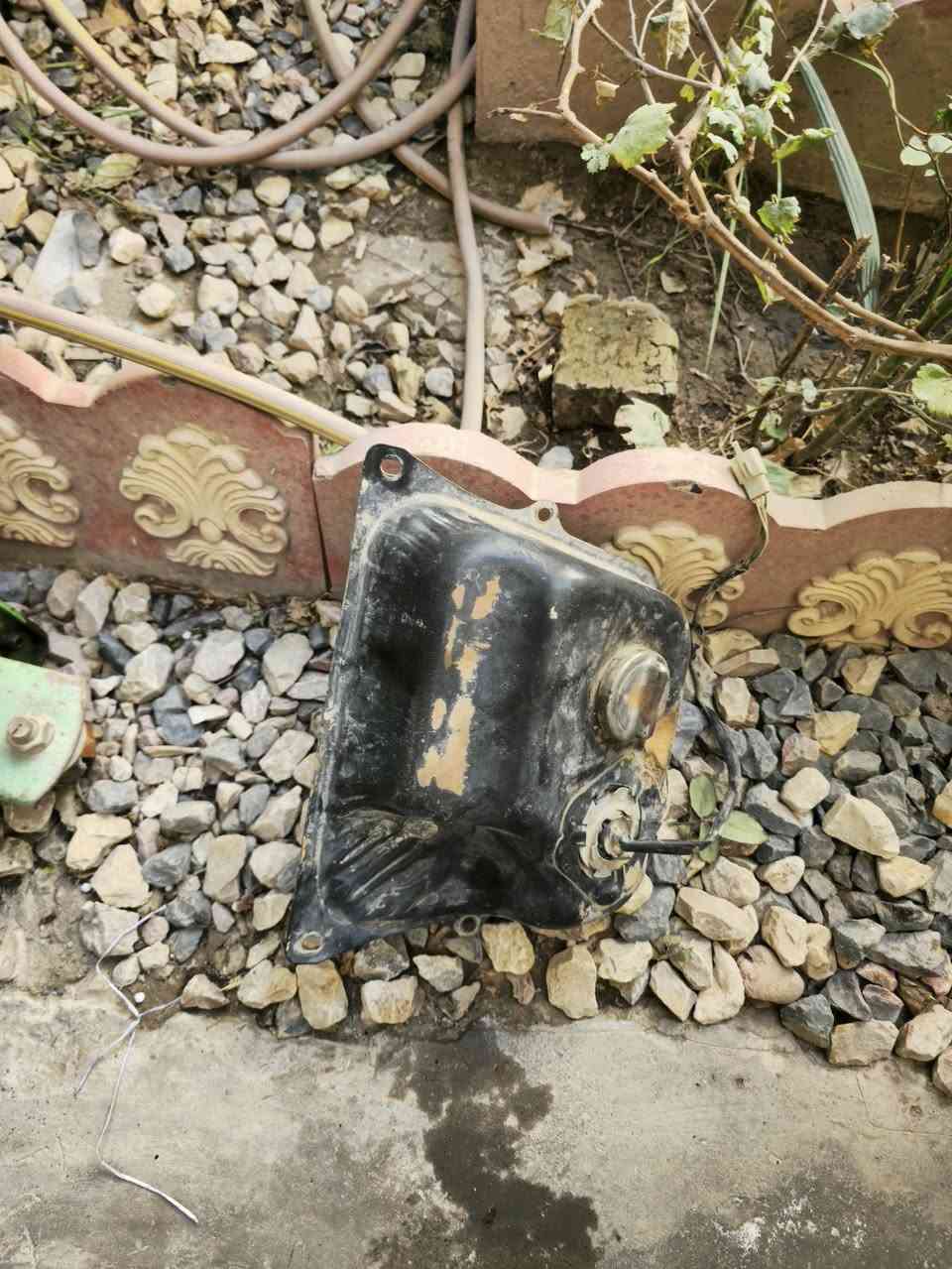 نواعم للبيع كلمن او سعره خاص متواجد


**إذا كنت صاحب هذا الإعلان وتريد حذفه لأي سبب، رجاءا أرسل رسالة إلى الدعم الفني**