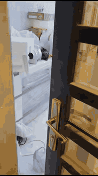 تم الانتهاء من صبغ منزل في منطقة الغزالية 
الابداع للصباغة 
اصل الابداع
***********
