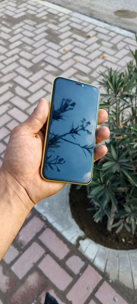 ايفوان 11عادي داكره 64
شرط حاصر هوه ضدل ماي 
بطاريه 83 شرط قطاره 
جهاز كلو شرط كلشي مامبدل 
واله وصل مصلح كلو شرط 
كاميرات حيل حلوات 
جهاز مكفول من الشخوط 
شخطه مابيه اخو الجديد 
سعر 275 بيه مجال بصيط


**إذا كنت صاحب هذا الإعلان وتريد حذفه لأي سبب، رجاءا أرسل رسالة إلى الدعم الفني**