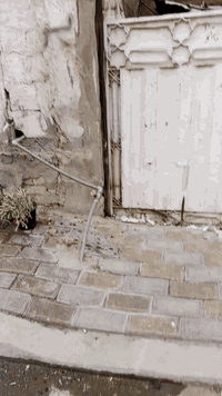 كربلاء حي الانصار • ٢٢٠م • طابو