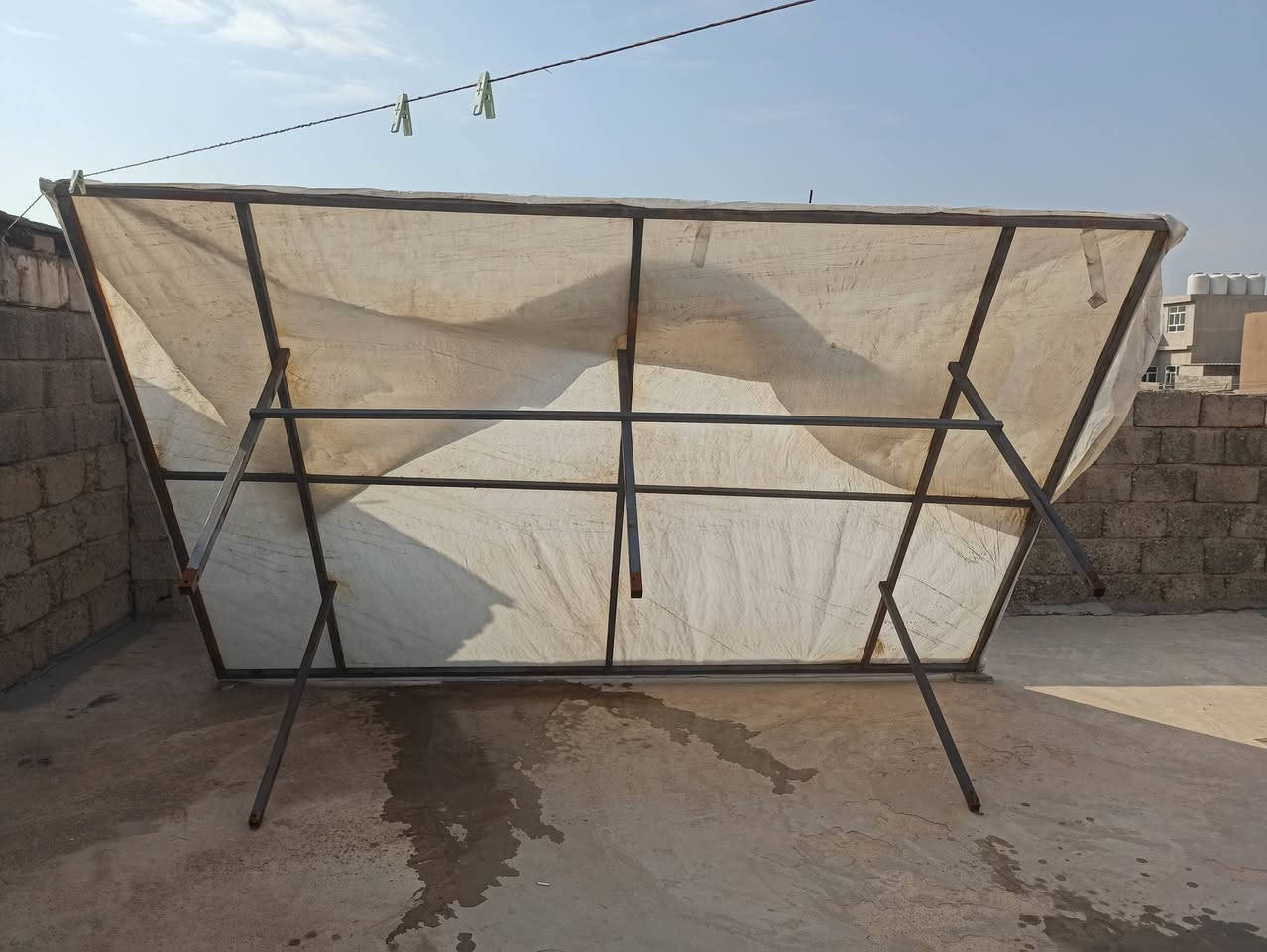 قمريه للبيع مكاني موصل. هذا رقمي***********
