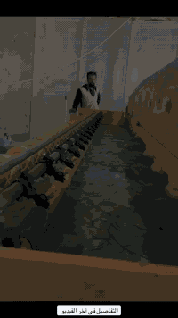 غسيل سجاد • استلام وتسليم مجاني • النجف طريق كربلاء