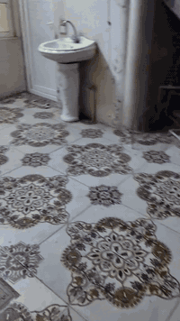 بيت للايجار • حي القادسية • ١٠٠م