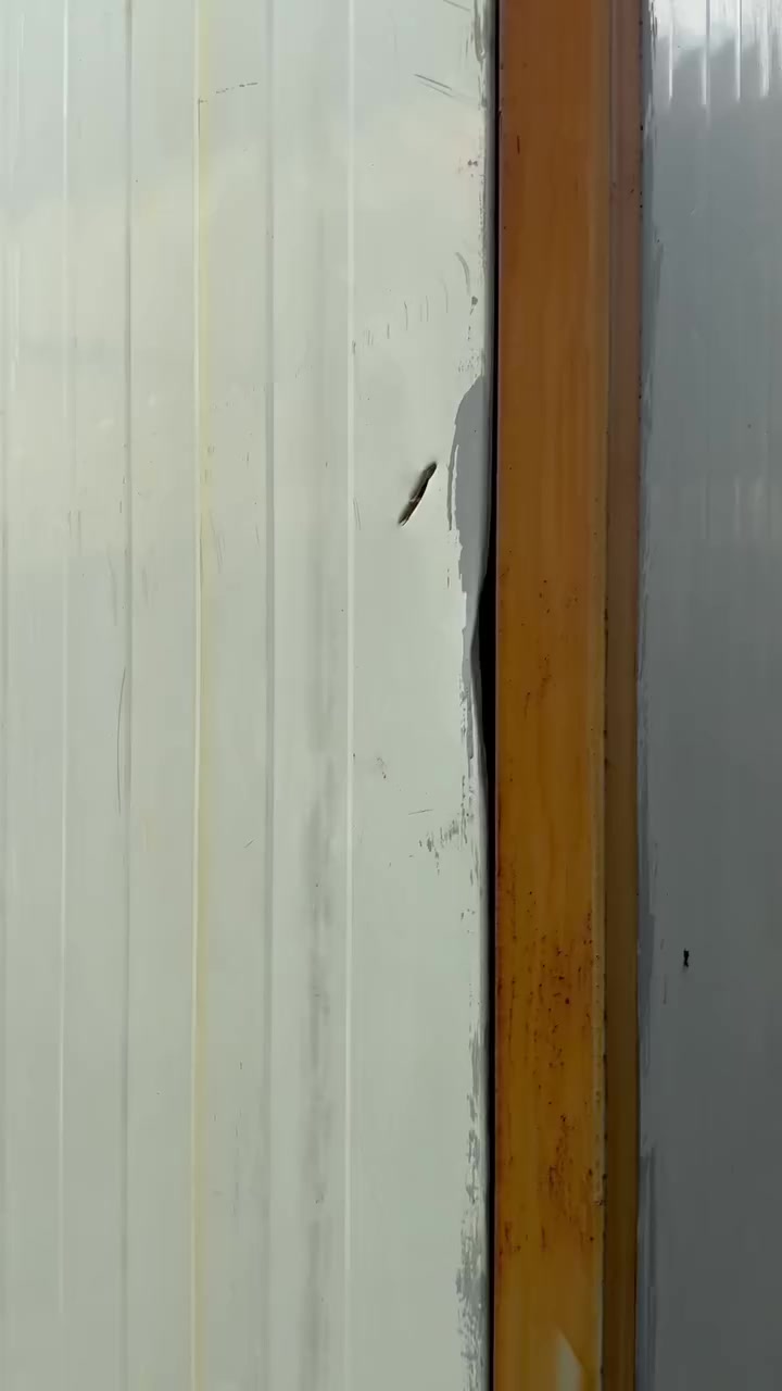 عندي محل كامل  سندويش بنل مه كبنك مع جام خانه مع سقف 60 في 60 مع تغليف داخلي متكامل مع الكهربايات كامل مكمل للبيت فصخ وروح شده بلمكان الي تحتاجه وبسعر مناسب جدا ***********
