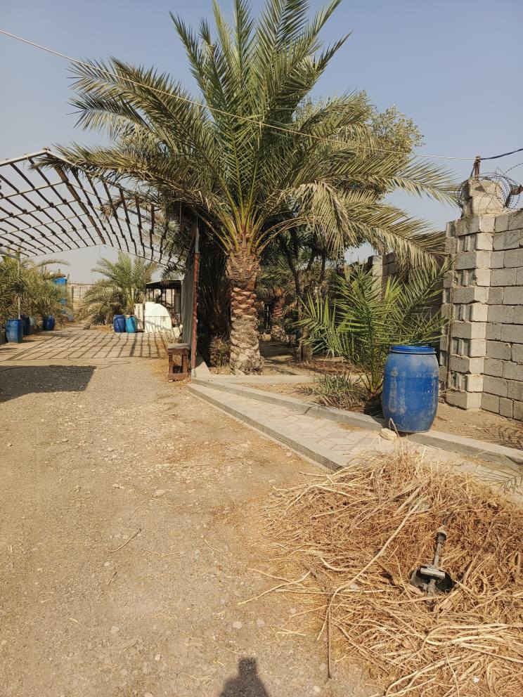 السلام عليكم قطعة ارض للبيع طابو زراعي بسمنة المساحة 500 متر والقطعة بيها غرفتين  حلوة ومرتبة العنوان قرب الفضوة الاستفسار ***********
