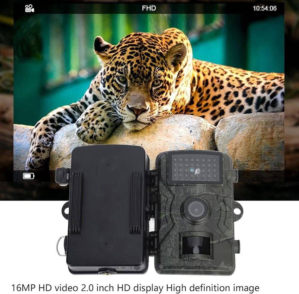 كاميرا صيد ومراقبة للحياة البرية (Trail Camera)
السعر ١٥


**إذا كنت صاحب هذا الإعلان وتريد حذفه لأي سبب، رجاءا أرسل رسالة إلى الدعم الفني**