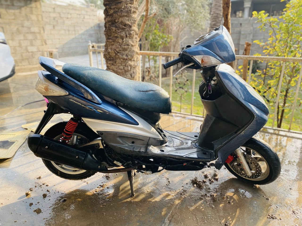 سكنس فحل ياباني  چاملق خلفي وأمامي موجودات بس اني فليتهم عنوان بغداد  السعر 650.    ***********
