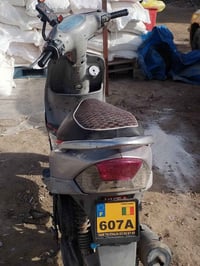 ماكس مغولي • شرط مكنيه • دوانيه مركزي