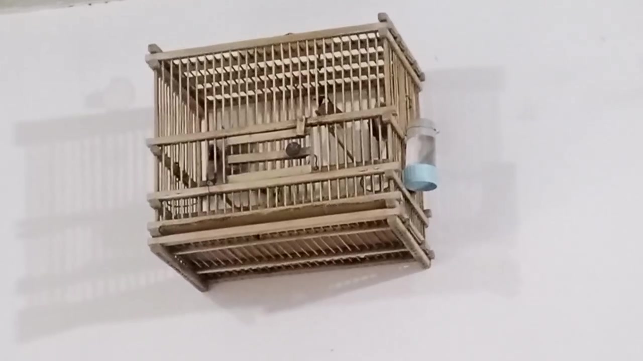 سلام عليكم
زوج بلابل الفحل اليف والنثيه وحشيه تغريد فول العنوان بصره قضاء المدينة


**إذا كنت صاحب هذا الإعلان وتريد حذفه لأي سبب، رجاءا أرسل رسالة إلى الدعم الفني**