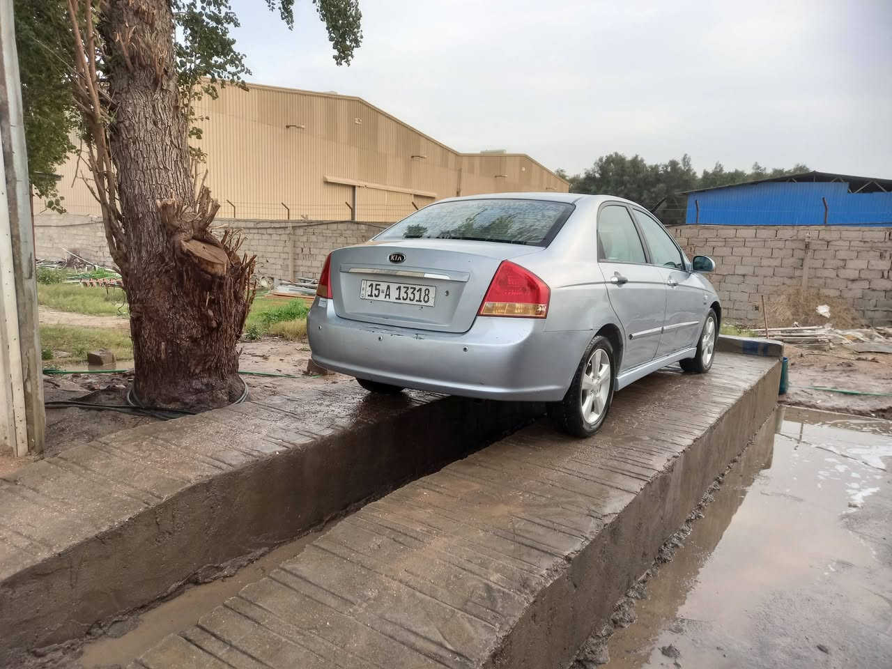 سلام عليكم سيارة سيراتو ٢٠٠٧ طخة باب السايق مكينة ١٦٠٠ مواصفات السيارة كشانات جلد ارضية جلد تتدفئى بالكشنات فتحة سلايت حساسات خلفية اربع ويل كب اربع ديسك رقم انكليزي انبار تحويل ثاني يوم بسمي سيارة مكاني محمودية سعره ٧٤ حك الجية 
***********
