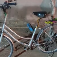 باسكل • مقاس 26 • الغراف