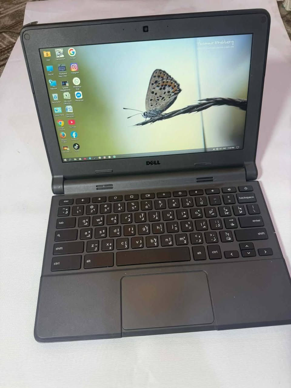 حاسبه للبيع ذاكره ٣٢


**إذا كنت صاحب هذا الإعلان وتريد حذفه لأي سبب، رجاءا أرسل رسالة إلى الدعم الفني**