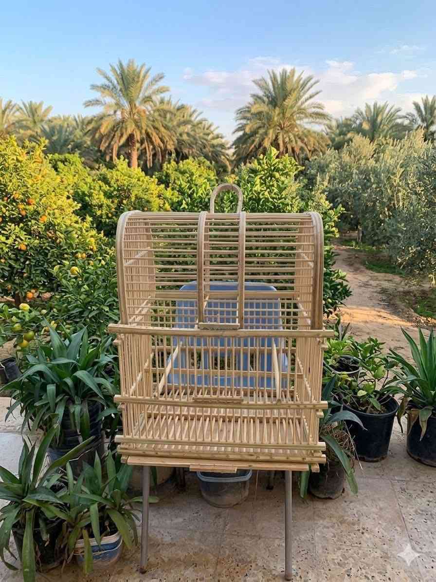 متوفر جميع انواع القفاصه الجريد لدى مكتب الغندورة


**إذا كنت صاحب هذا الإعلان وتريد حذفه لأي سبب، رجاءا أرسل رسالة إلى الدعم الفني**