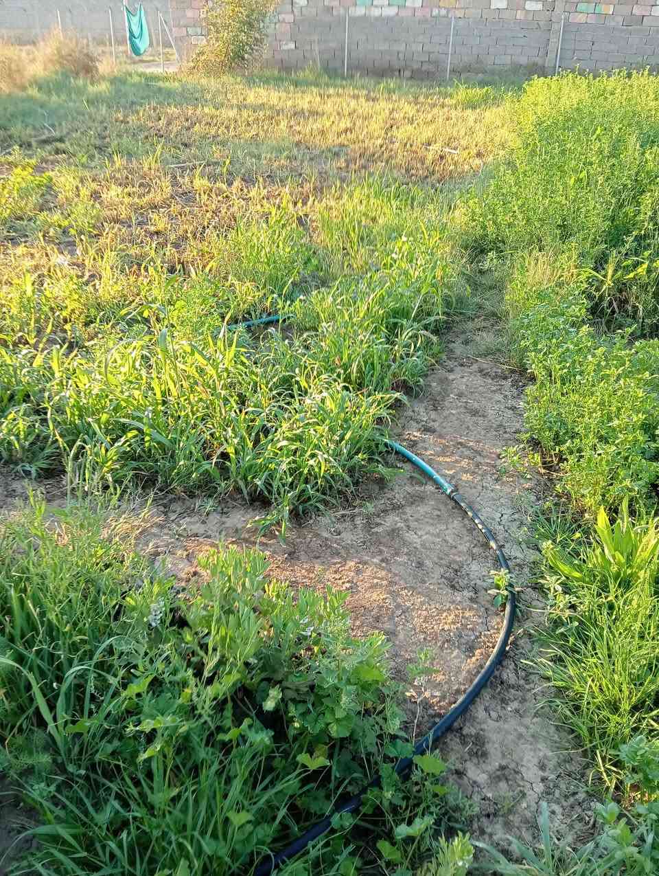 السلام عليكم بيت ونص دونم للبيع ماء وكهرباء على الشط في الكوت اليوسفيه ***********
