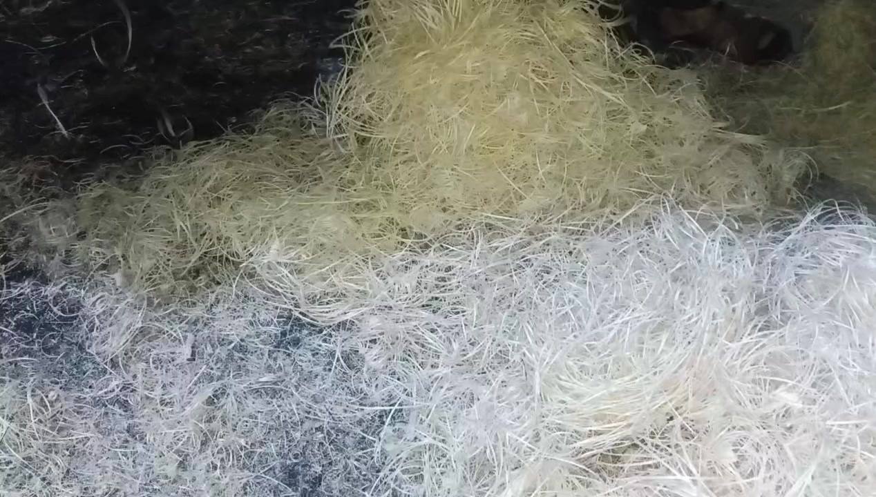 معمل الانتاج الحلفة العراقية حسن احمد الزبيدي ***********
