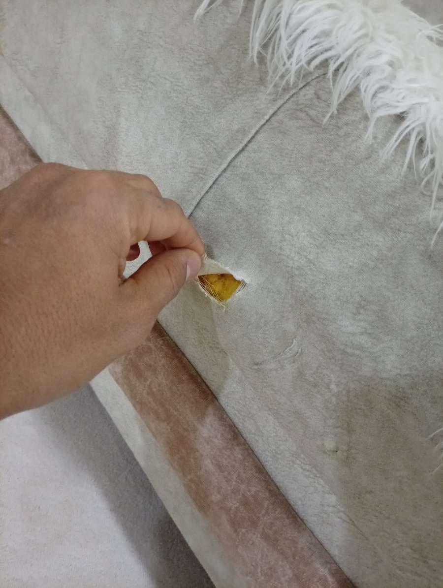 سەرەتە با ناوی خوا
سڵاوتان لێ بێت خوشکو برایان ئەم قانەفەیامان هەیە وەک لە وێنەکە دیارە ئەو تۆزەی دڕاوە کێ ویستی خاتری ئەگرم ئەوەش رەقەم با نەماش جواب ئەیامۆ
***********❤️❤️
