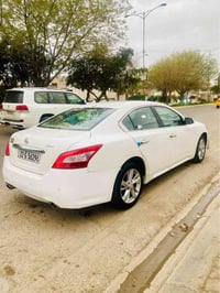 ماكسيما فول • ٢٠١٠ • رقم اربيل