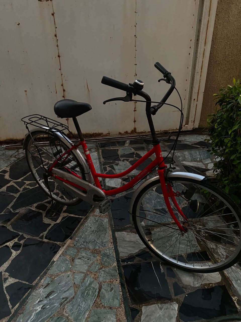 بطه بناتي نضيف البايسكل يفيد جماعه الجمباز وممستعمل هواي بريكاته امامي وخلفي وتايرات جدد 

مكان بالامين الثانيه المعلمين

سعره 110 الف وبي مجال 

شراي تواصل هنا ***********
