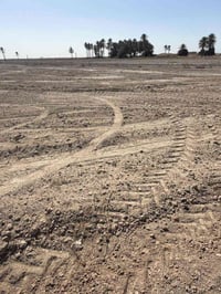 ١٥ دونم • طابو زراعي • واجهة ٥٠×٥٠