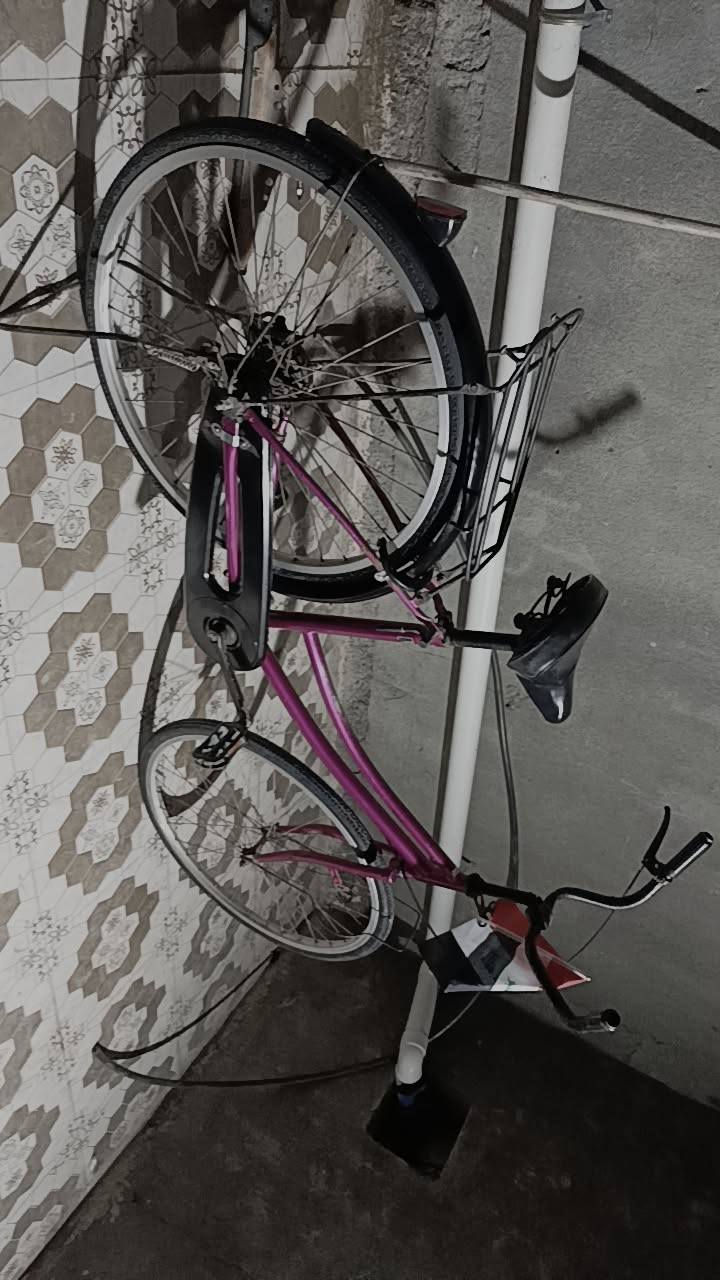 باسكل البيع المكان غراف الشراي يجي خاص 💬❤️


**إذا كنت صاحب هذا الإعلان وتريد حذفه لأي سبب، رجاءا أرسل رسالة إلى الدعم الفني**