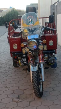 ستوتة • موديل 2022 • أوراق كاملة