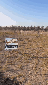 السعر ١٦ مليون فقط قطعة ارض المساحة ٢٠٠ متر طريق ياحسين حي بابل كافة ا...