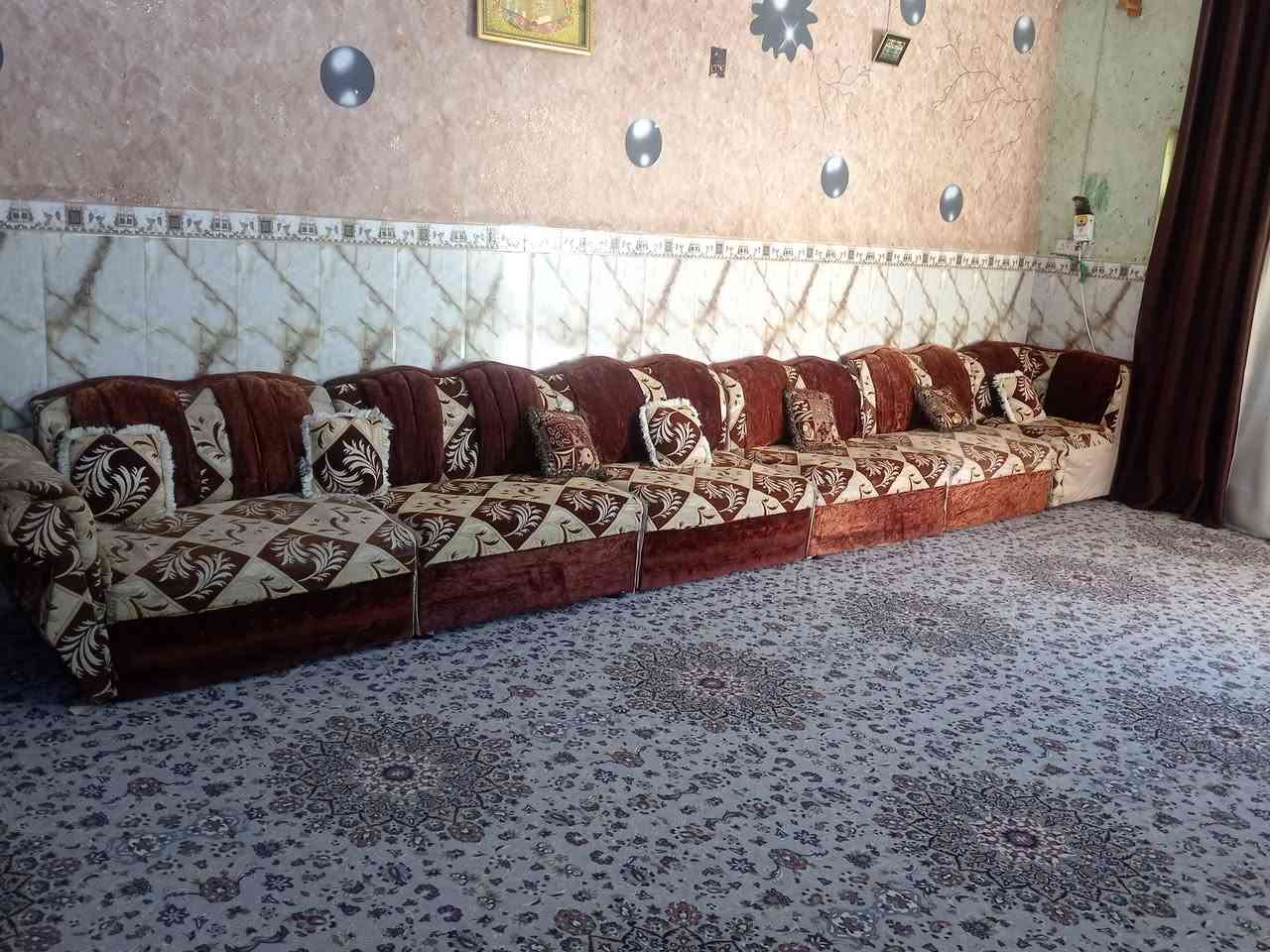 سلام عليكم تخم للبيع 12نفر العنوان سده الهنديه منطقة العلكايه رقم الهاتف ***********
