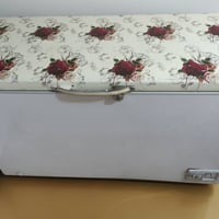 شغاله بشرط التجميد 07702316730