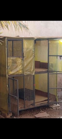 قفص حديد • متين • سعر ثابت