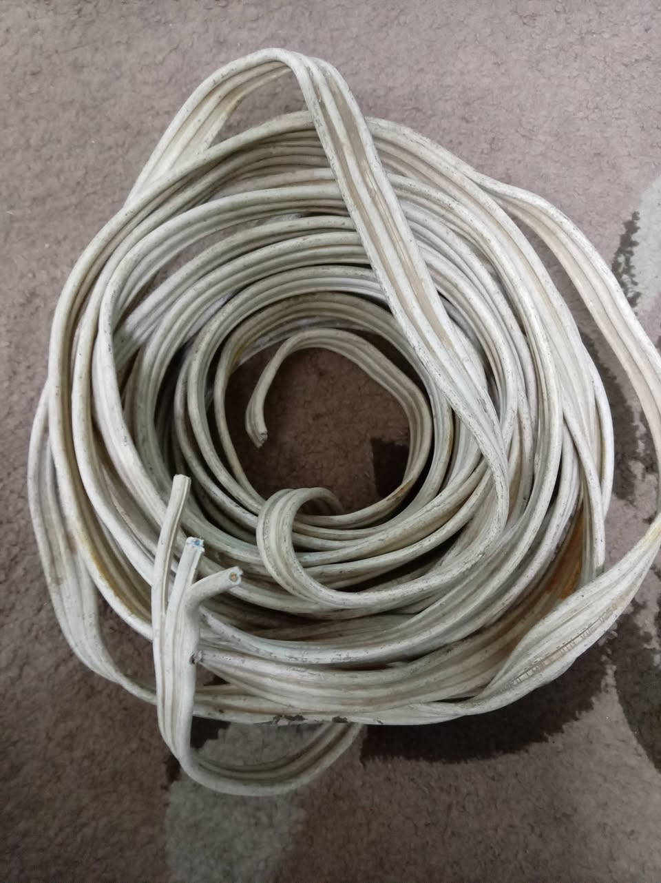 2×2.5، سعر( 25) ( 3×2.5 سعر) (30 
نوعية TRT البيع 13 متر 
نوعية TRT،متر 13 حي القدس


**إذا كنت صاحب هذا الإعلان وتريد حذفه لأي سبب، رجاءا أرسل رسالة إلى الدعم الفني**