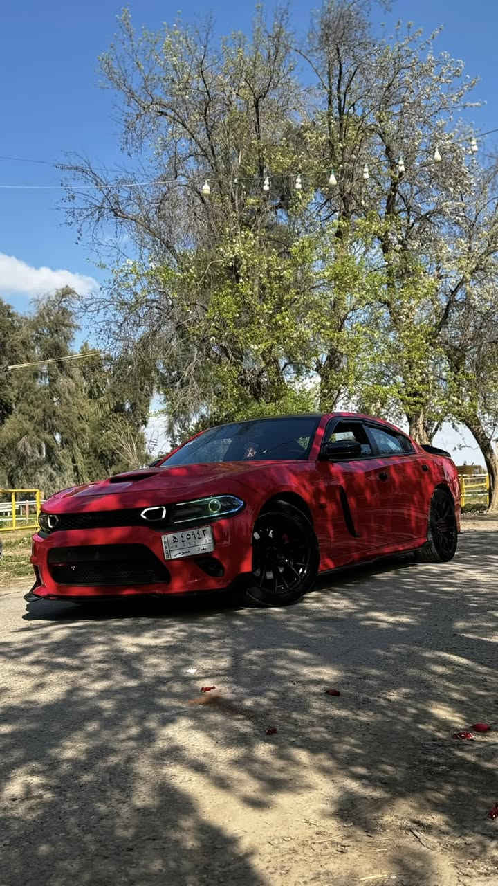 چارجر RT 5700 احمر ناري
موديل 2019 بدون صبغ 
عليها كت هيلكات بنيد ودعاميات
كشنات حضن احمر
ماشيه78فقط
كشنات كهرباء 
شفتات ستيرن 
شاشه جبيره
عليها ولف حماره ريسنك
بلكات ريسنك 
اكسل قفل
لد متغير اوركال  
ويل هيلكات اصلي +ستدات طلقه
سستم سماعات الباين
زعانف كاربون 
كت كاربون فايبر كامل
دوس كاربون 
كفرات مري كاربون 
دفيوزر كاربون
لحيه امياميه 
تخم تاير جديد +دهن امزويل وكاله جديد
السياره كامله وسعرها مناسب 210وبيها مجال
رقمي***********
