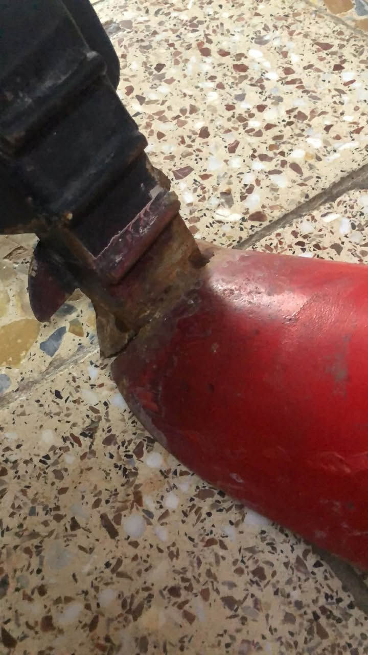 سلام عليكم راصطه طياريه ثقيل عووها بس لحيم وتمعجنها اصليه مفطوره شويه سعرها 25


**إذا كنت صاحب هذا الإعلان وتريد حذفه لأي سبب، رجاءا أرسل رسالة إلى الدعم الفني**