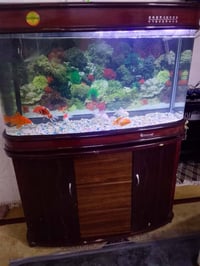 حوض سمك • سعر خاص • كركوك