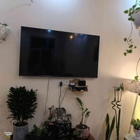جديده صار شهرين من أخذتها ٦٠٠ وبيها مجال عنوان حي الجهاد بغداد 0773655...