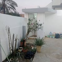 خانقين/تولةفروش • ١٦٠م • طابو