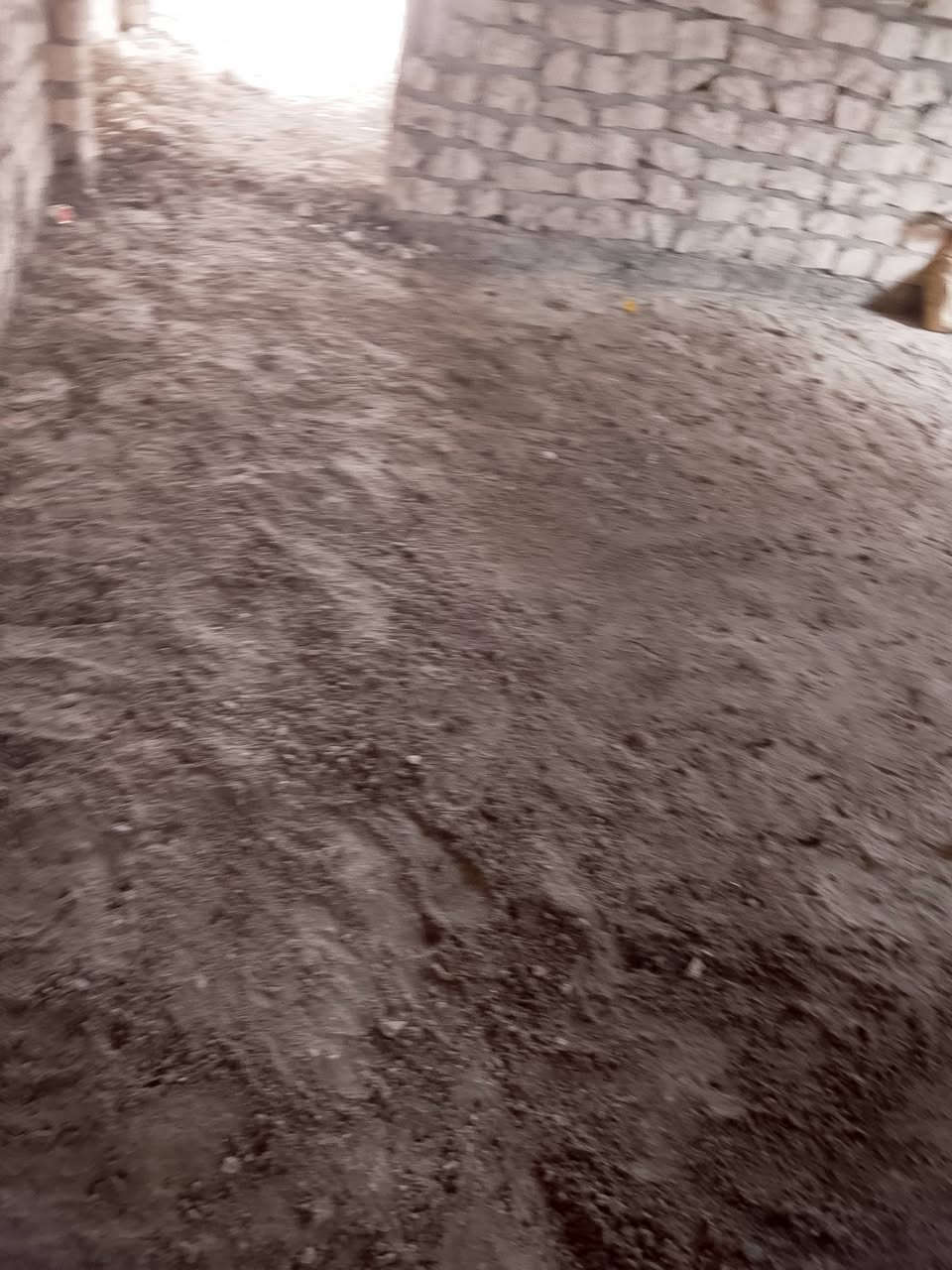 سلام عليكم  / يوجد كادر عمل جاهز/ تصعيد مواد/ تنضيف بيوت/ تفليش/ تكشيط/ تنضيف حدائق/ دفن نهري  / شقلنه ليل ونهار   /ومعداتنه جاهز/ ماعليك بس تصال على رقم  /     ***********
