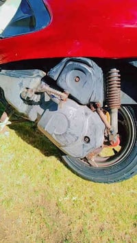 ✨ دراجه فراشه - فحل لون ماروني  ستوها طالع من الوكيل  صارلها شهر الدرا...