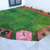 ديكورات حدائق • متابعة شهرية • شغل دقيق