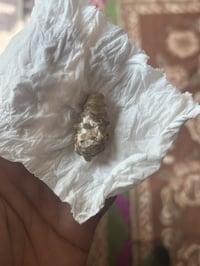 ملوي • قديم • ذمه