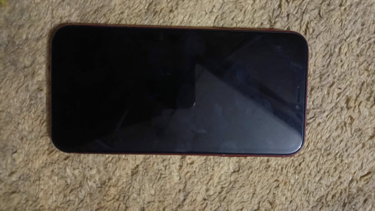 سلام عليكم XR للبيع ذاكرة 64 بطارية 100 مبدلة وشاشة مبدلة ثلاث خيارات سعر 135 قفل قفل لمكان بغداد مدينت صدر أورفلي      ***********
