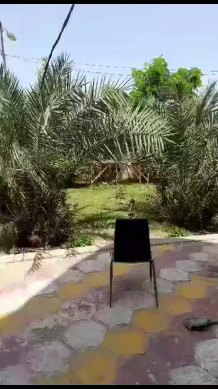 اعلان.....
بيت للبيع زراعي طابق واحد  مساحه 400متر  السماوة المعالي قبل الجسر

يحتوي على غرفتين وصاله ومطبخ وبراني وصحيات خارجيه وداخليه وحديقة

السعر النهائي 90

للاستفسار اتصال على الأرقام التاليه

***********

***********

***********

مكتب الساعي للعقارات

العنوان سايدين حي الشرطه مقابيل أسواق الريتاج
