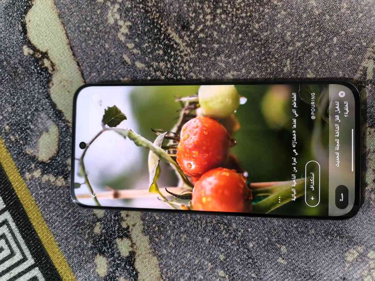 تكنو سبارك 40 برو
العنوان  بغداد   المعامل قرب  معارض حي دجلة 
السعر   230 الف


**إذا كنت صاحب هذا الإعلان وتريد حذفه لأي سبب، رجاءا أرسل رسالة إلى الدعم الفني**
