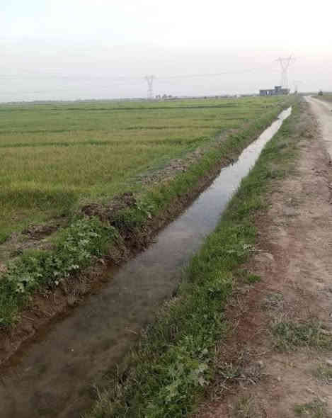 يوجد دوانم طابو زراعي بأسعار مناسبه في منطقة الشيخ عامر  على طابو الفلوجه 

الاستفسار اكثر اتصل على الرقم ‭***********
