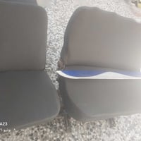 كشن كلاب • مدوشم • قصة جديدة