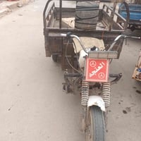ستوته • دايون • علفيس
