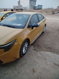 كورلا • ٢٠٢٢ • كركوك الصيادة