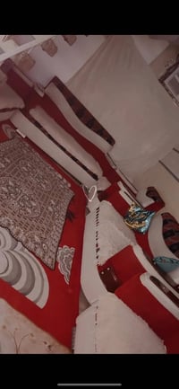 تخم كنبة • للبيع • سعر مناسب